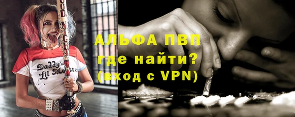крисы Каменногорск