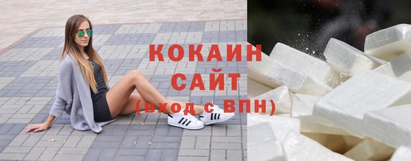 крисы Каменногорск
