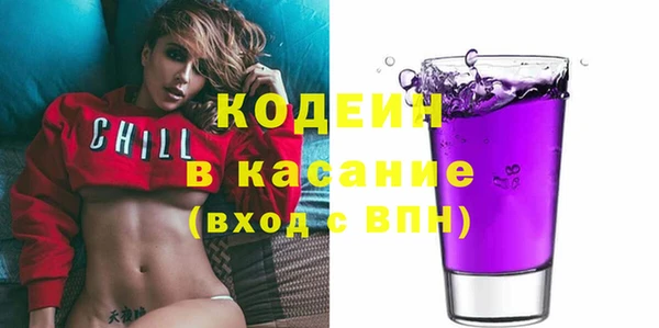 соль ск Каменка