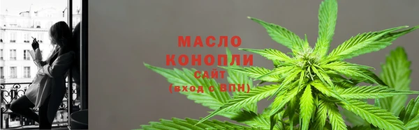 крисы Каменногорск