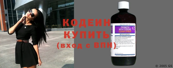 крисы Каменногорск