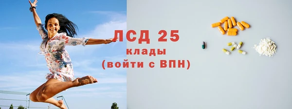 крисы Каменногорск