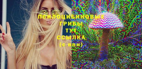 крисы Каменногорск