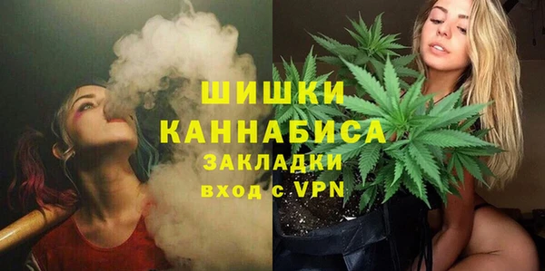 соль ск Каменка