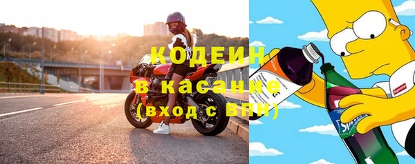соль ск Каменка