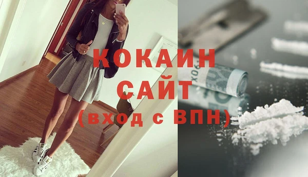 соль ск Каменка