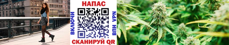 Купить где  Емва  Бошки Шишки сатива 